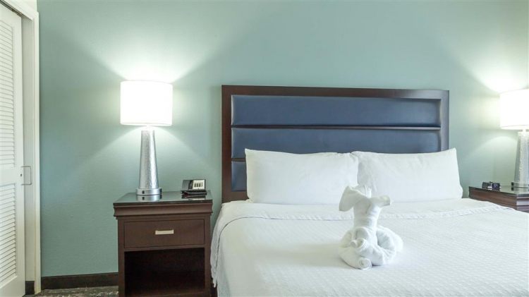 Homewood Suites by Hilton Miami - Airport West , FL 33122 near Miami International Airport View Point 18